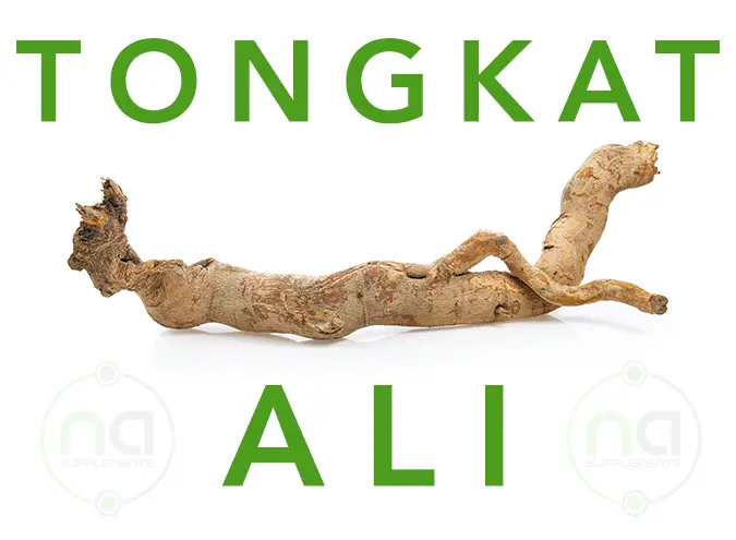 banner image of tongkat ali longjack with image of root extract and name written