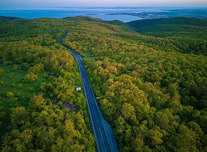 long road surrounded by greenery