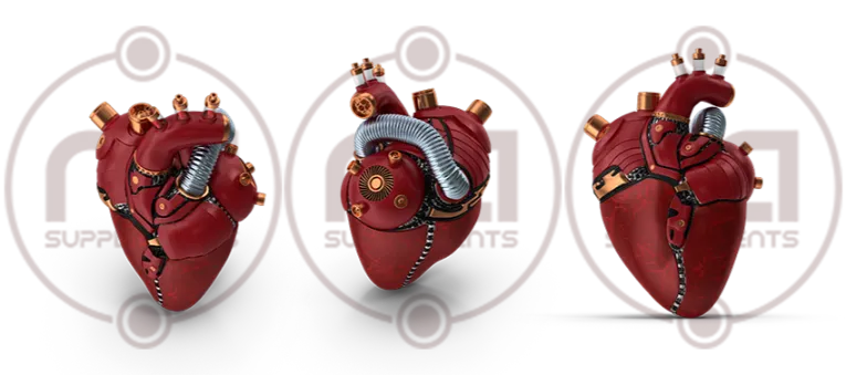 3 bionic robot hearts health section on wholesale private supplements for usa uk canada europe