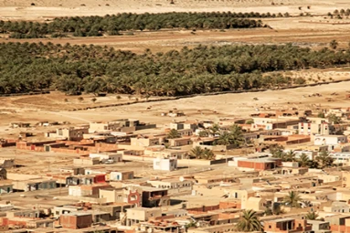 desert town with vegetation on pure ethiopian black seed oil product page