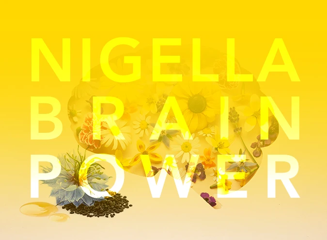 flowers filled brain with nigella sativa oil & seeds featured image for black seed oil mental benefits article