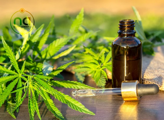 green branch of hemp with five fingers leaves next to dropper bottle